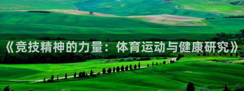 vsport体育官网下载招商：《竞技精神的力量：体育