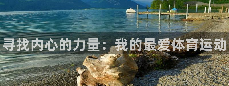 vsport体育官网下载招商电话号码查询是多少：寻找