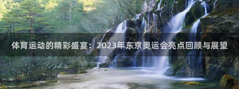 vsport体育官方集团官网：体育运动的精彩盛宴：2