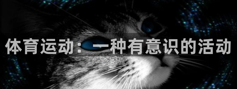 vsport体育官网下载招商电话号码查询