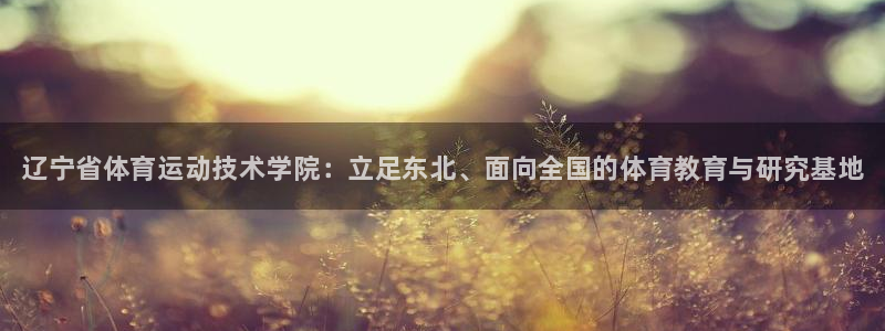 vsport体育官网下载招商电话号码：辽宁省体育运动技术学院
