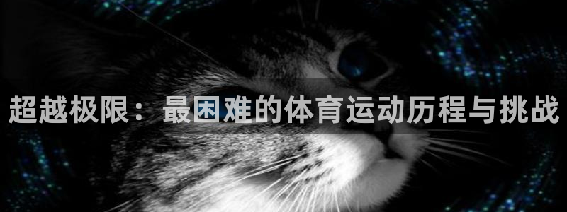 vsport体育官网下载平台是正规平台吗安全吗：超越极限：最