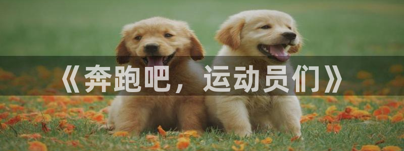 vsport体育官网下载软件：《奔跑吧，运动员们》
