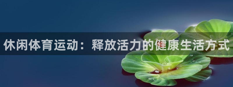 vsport体育官方集团官网：休闲体育运动：释放活力的健康生