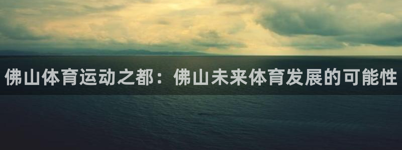 vsport体育官方正版app集团简介：佛山体育运动之都：佛