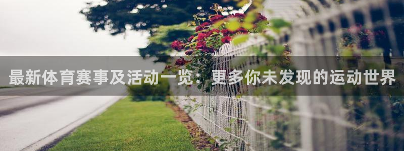 vsport体育官方正版app集团：最新体育赛事及活