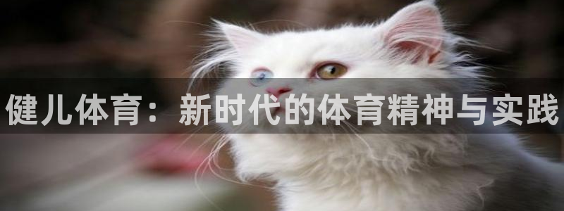 vsport体育官网下载平台注册流程图：健儿体育：新时代的体
