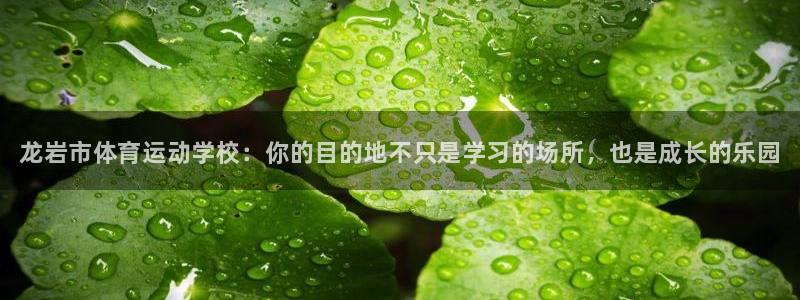 vsport体育官网下载开户：龙岩市体育运动学校：你