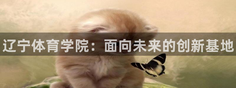 注册vsport体育官方正版app：辽宁体育学院：面