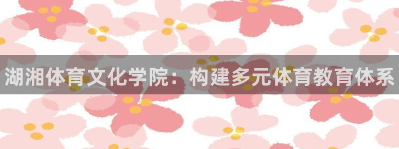 vsport体育官方正版app集团logo：湖湘体育文化学院