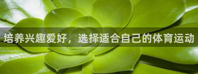 vsport体育官网下载招商电话地址查询：培养兴趣爱好，选择
