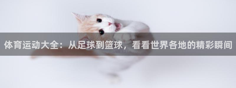 vsport体育官方正版app娱乐：体育运动大全：从足球到篮