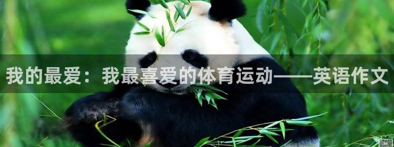vsport体育官方正版app娱乐平台：我的最爱：我最喜爱的