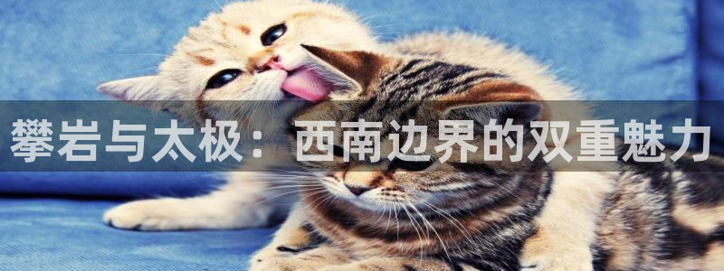 vsport体育官网下载平台注册要钱吗：攀岩与太极：
