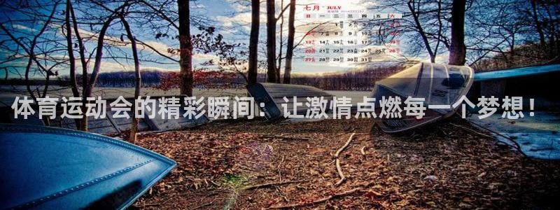 vsport体育官网下载平台：体育运动会的精彩瞬间：让激情点