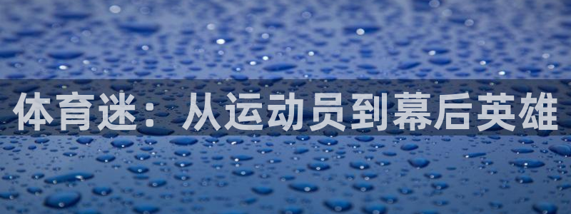 vsport体育官网下载平台是正规平台吗：体育迷：从