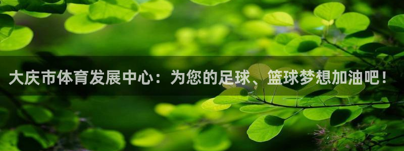 vsport体育官网下载联系电话：大庆市体育发展中心：为您的