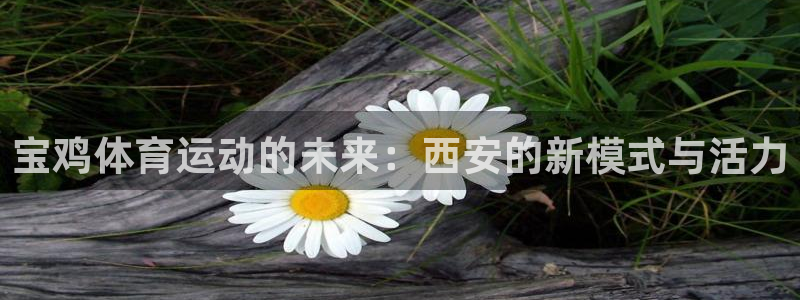 vsport体育官网下载平台APP：宝鸡体育运动的未来：西安