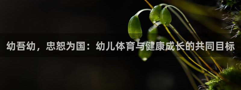 vsport体育官网下载平台注册要钱吗：幼吾幼，忠恕为国：幼