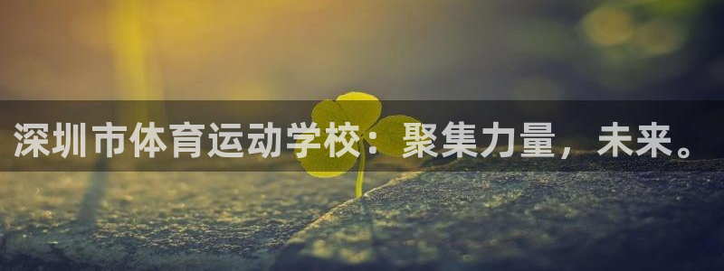 vsport体育官网下载平台注册要钱吗是真的吗:深圳市体育运