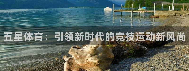 vsport体育官网下载官方客服电话：五星体育：引领