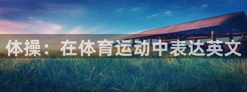 vsport体育官方正版app娱乐首页官网下载：体操