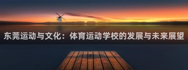 vsport体育官网下载平台注册：东莞运动与文化：体