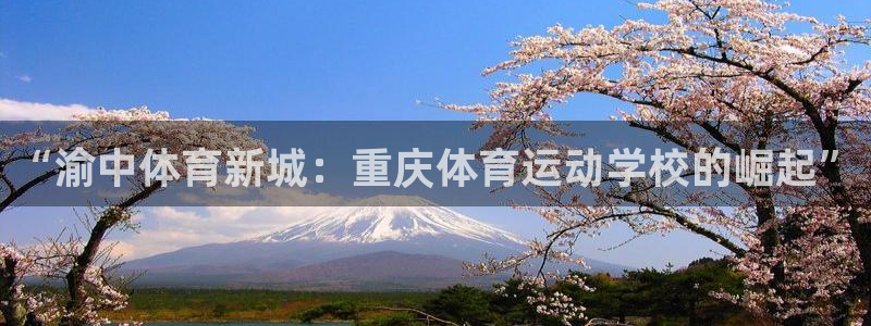 vsport体育官网下载注册：“渝中体育新城：重庆体育运动学