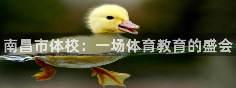 vsport体育官方正版app娱乐是那个系列的台子