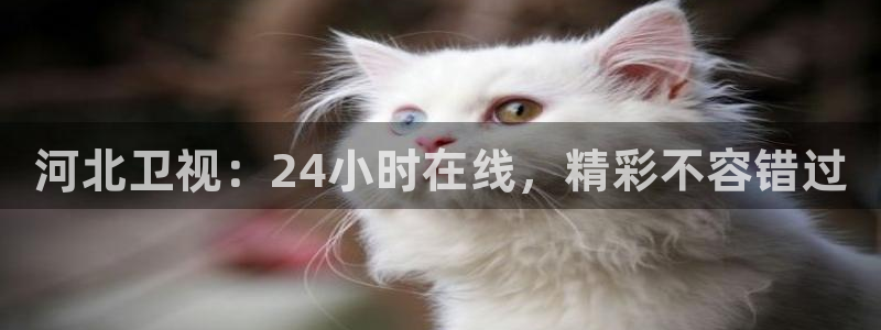 搜球体育官网：河北卫视：24小时在线，精彩不容错过