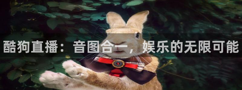 搜球体育直播：酷狗直播：音图合一，娱乐的无限可能