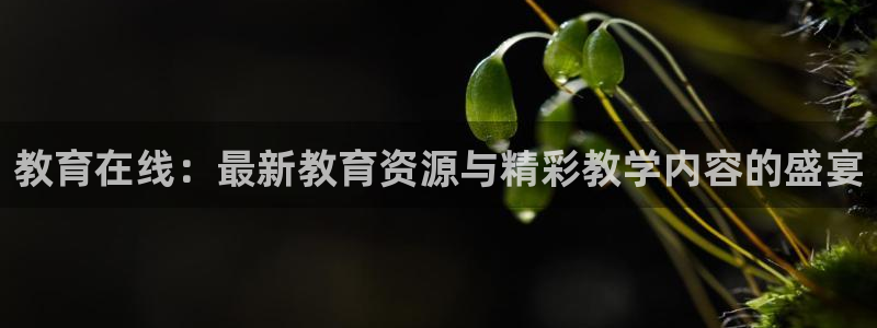 搜球直播吧：教育在线：最新教育资源与精彩教学内容的盛宴