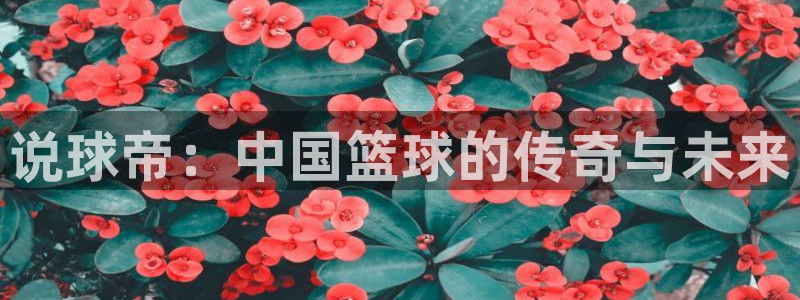 搜球吧nba在线直播：说球帝：中国篮球的传奇与未来