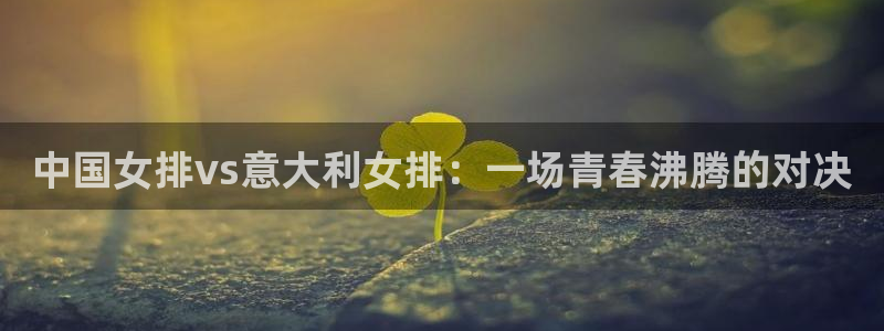 搜球体育下载：中国女排vs意大利女排：一场青春沸腾的对决
