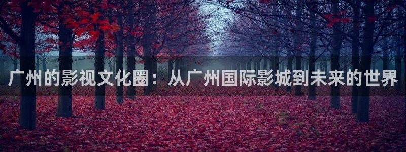 搜球体育官网：广州的影视文化圈：从广州国际影城到未来的世界