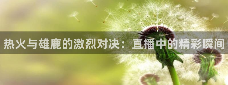 搜球体育下载：热火与雄鹿的激烈对决：直播中的精彩瞬间