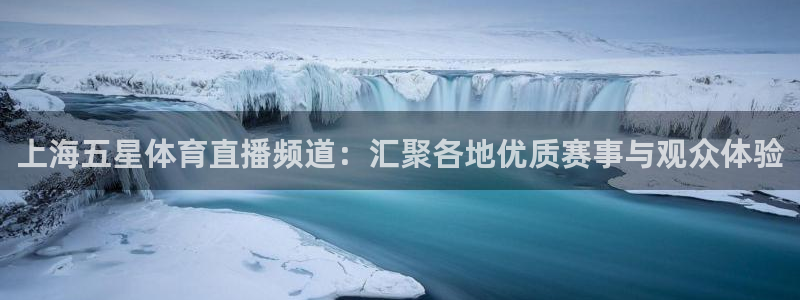 搜球直播吧：上海五星体育直播频道：汇聚各地优质赛事与观众体验