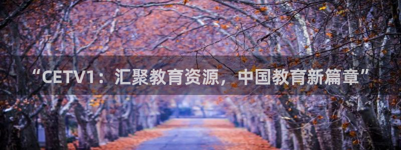 搜球吧在线直播免费观看