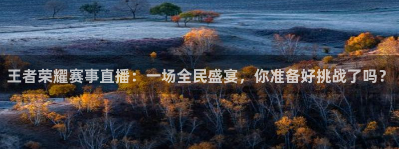 搜球直播体育