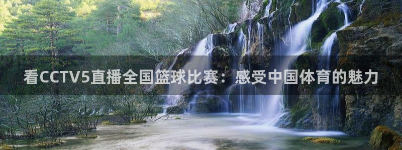搜球吧直播nba中文直播：看CCTV5直播全国篮球比赛：感受中国体育的魅力