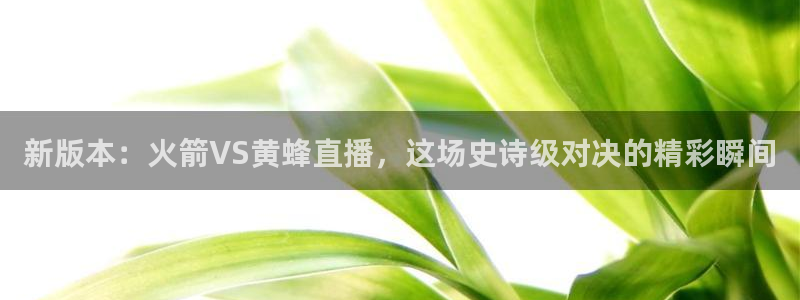 搜球吧 直播：新版本：火箭VS黄蜂直播，这场史诗级对决的精彩瞬间